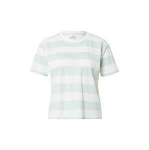 HOLLISTER Tričko  pastelově zelená / bílá