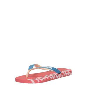 HAVAIANAS Žabky 'LOGOMANIA'  pink / nebeská modř / světle růžová / bílá