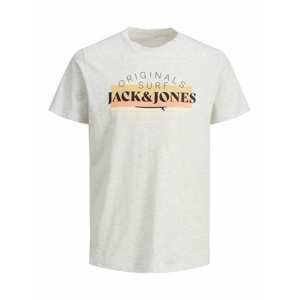 JACK & JONES Tričko 'Cabana'  bílý melír / černá / oranžová