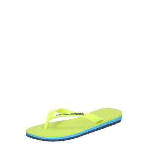 HAVAIANAS Žabky  svítivě zelená / žlutá / tmavě modrá / zelená / nebeská modř