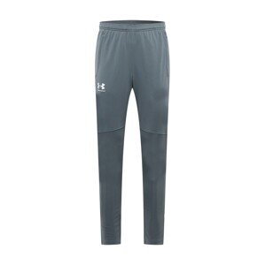 UNDER ARMOUR Sportovní kalhoty  šedá / bílá