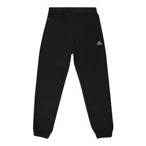 ADIDAS PERFORMANCE Sportovní kalhoty  šedá / černá / bílá