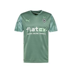PUMA Trikot 'Borussia Mönchengladbach'  tmavě zelená / bílá / světle zelená / smaragdová