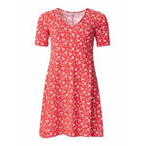 Indiska Letní šaty 'Claire'  červená / bílá