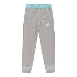 ADIDAS PERFORMANCE Sportovní kalhoty  šedá / světlemodrá