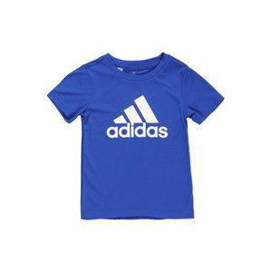 ADIDAS PERFORMANCE Funkční tričko  královská modrá / bílá