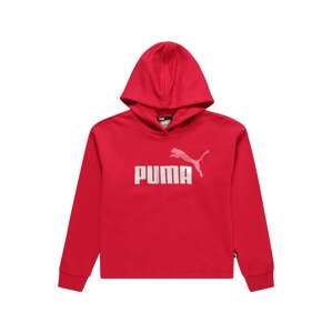 PUMA Mikina  karmínově červené / melounová / stříbrná