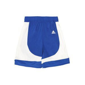 ADIDAS PERFORMANCE Sportovní kalhoty  modrá / bílá