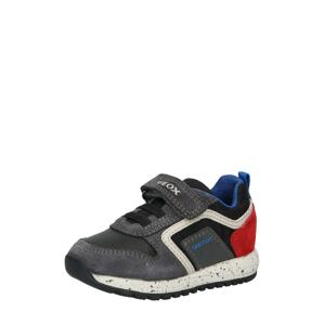 GEOX Sneaker 'ALBEN'  červená / tmavě šedá / bílá / černá