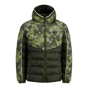 JACK & JONES Zimní bunda 'JCOPACE'  světle zelená / tmavě zelená