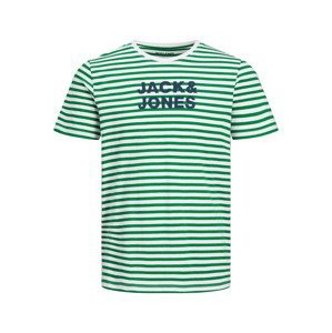 JACK & JONES Tričko 'Vardant'  zelená / bílá / námořnická modř