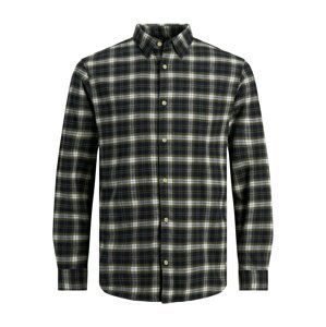 JACK & JONES Košile  tmavě zelená / bílá / olivová