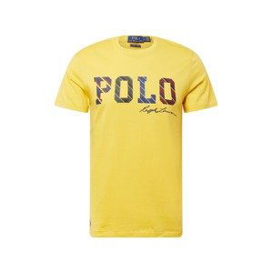 Polo Ralph Lauren Tričko  žlutá / tmavě modrá / vínově červená