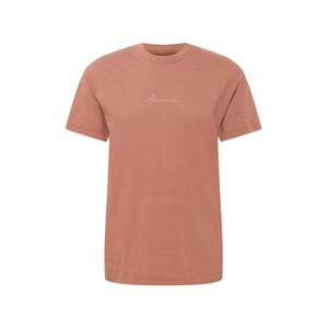Abercrombie & Fitch T-Shirt  rezavě hnědá / meruňková