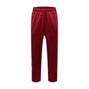 Nike Sportswear Kalhoty  karmínově červené / černá / bílá