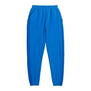 ADIDAS ORIGINALS Kalhoty 'IVP SWEAT PANT'  modrá