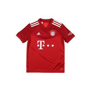 ADIDAS PERFORMANCE Funkční tričko 'FC Bayern 21/22'  červená / bílá / žlutá / modrá / černá