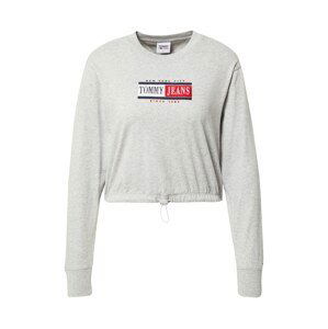 Tommy Jeans Tričko  světle šedá / bílá / marine modrá / grenadina