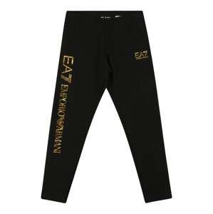 EA7 Emporio Armani Kalhoty  černá / zlatá
