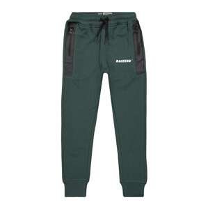 Raizzed Kalhoty 'SEATTLE'  zelená / černá / bílá