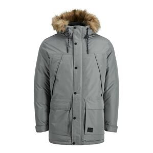 JACK & JONES Zimní parka  šedá