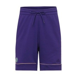 ADIDAS PERFORMANCE Sportovní kalhoty  tmavě fialová / broskvová / zelená / mix barev