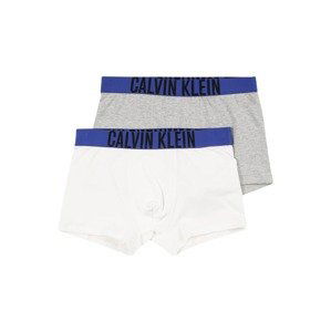 Calvin Klein Underwear Spodní prádlo  modrá / šedá / černá / bílá