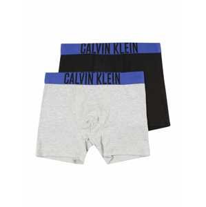 Calvin Klein Underwear Spodní prádlo  modrá / šedá / černá