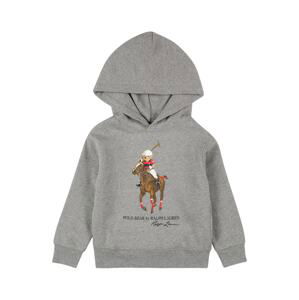 Polo Ralph Lauren Mikina  šedá / mix barev