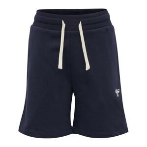 Hummel Sportovní kalhoty 'Bassim'  námořnická modř / bílá