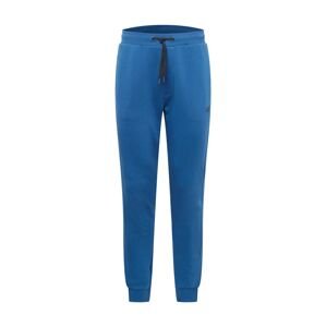 4F Sportovní kalhoty  modrá