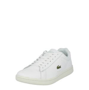 LACOSTE Tenisky 'Carnaby'  bílá / zelená