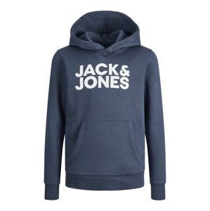 Jack & Jones Junior Svetr  modrá / bílá