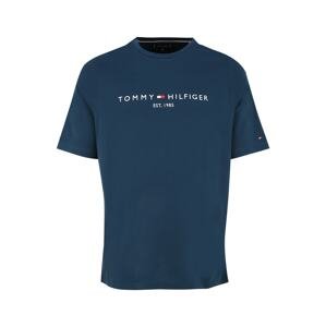 Tommy Hilfiger Big & Tall Tričko  petrolejová / bílá / červená / tmavě modrá