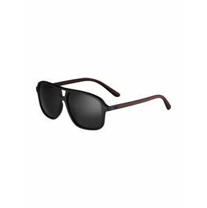 Polo Ralph Lauren Sluneční brýle '0PH4177U'  černá