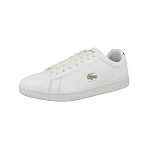 LACOSTE Tenisky 'Carnaby Evo 07213'  světle zelená / bílá