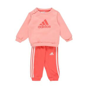 ADIDAS PERFORMANCE Sportovní oblečení  pitaya / bílá / starorůžová