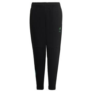 ADIDAS SPORTSWEAR Sportovní kalhoty  zelená / černá