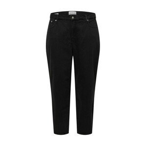 Calvin Klein Jeans Curve Džíny  černá džínovina