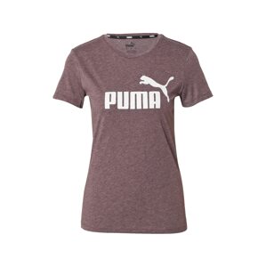 PUMA Funkční tričko  hnědá / bílá