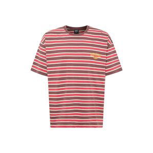 BDG Urban Outfitters Tričko  melounová / pastelově červená / bílá