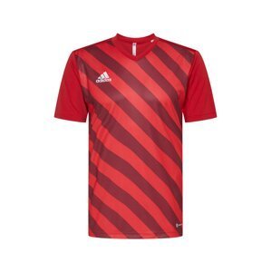 ADIDAS PERFORMANCE Funkční tričko  červená / burgundská červeň / bílá