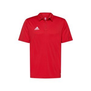 ADIDAS PERFORMANCE Funkční tričko 'ENT22'  černá / bílá