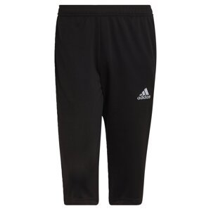 ADIDAS PERFORMANCE Sportovní kalhoty 'Entrada 22'  černá / bílá