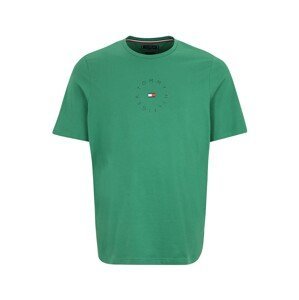 Tommy Hilfiger Big & Tall Tričko  námořnická modř / zelená / ohnivá červená / bílá