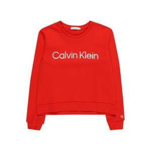 Calvin Klein Jeans Mikina  šedá / červená