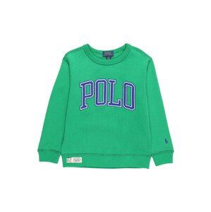 Polo Ralph Lauren Mikina  zelená / modrá / bílá