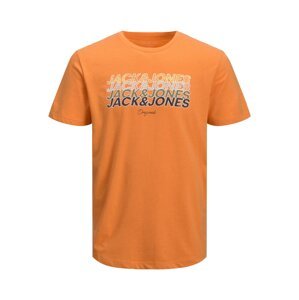 Jack & Jones Junior Tričko 'Brady'  oranžová / mix barev