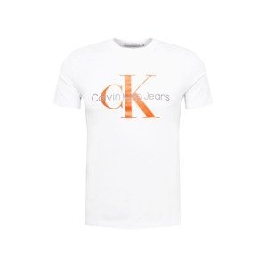 Calvin Klein Jeans Tričko  stříbrně šedá / jasně oranžová / bílá