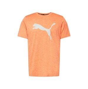 PUMA Funkční tričko 'Heather Cat'  oranžově červená / stříbrná